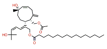 Azamilide G